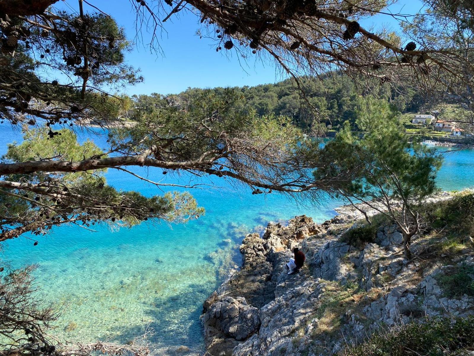 Sea Story Apartment Mali Lošinj